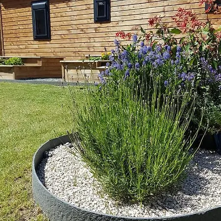 Chalet - Ferme Du Chateau Campingplatz Monampteuil